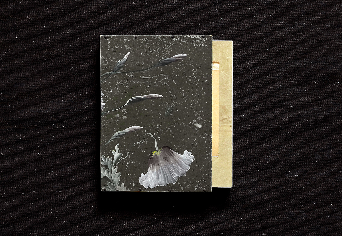 http://www.nodetenerse.com/files/gimgs/256_librosistoleweb001.jpg